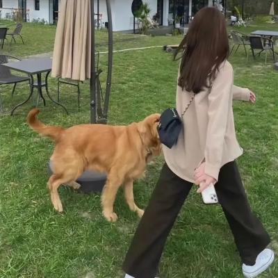 病态男孩